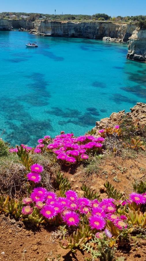 Casa Vacanze Afea Torre Dell'Orso Salento Puglia المظهر الخارجي الصورة